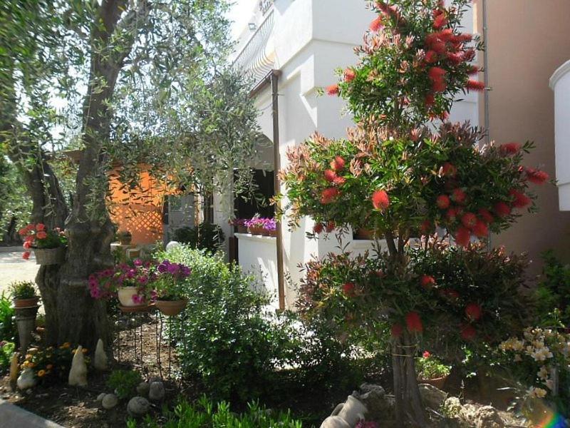 ויאסטה Residence Valleverde מראה חיצוני תמונה